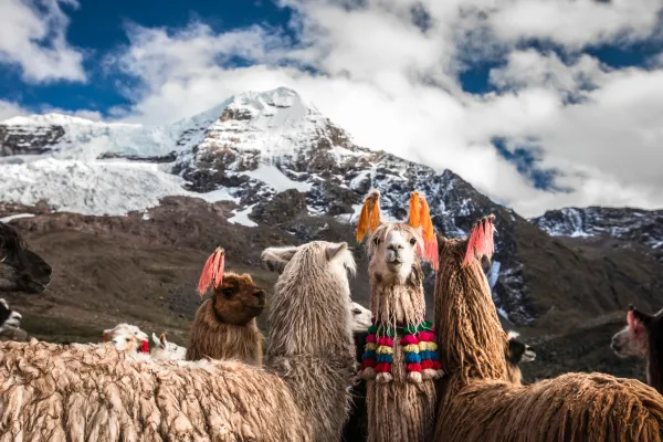 Sacred Valley Adventure