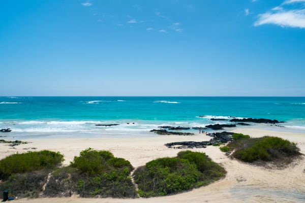 Ecuador and the Galapagos