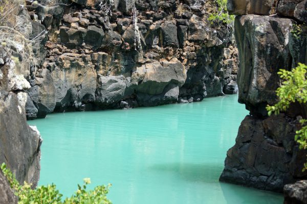 Ecuador and the Galapagos