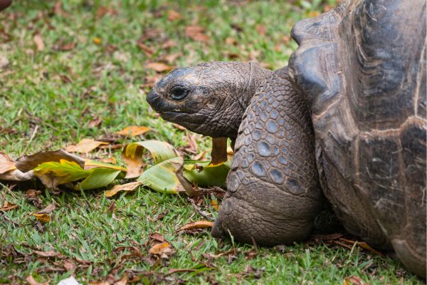 Ecuador and the Galapagos