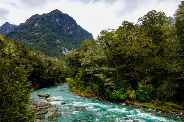 North Island Culture and Service