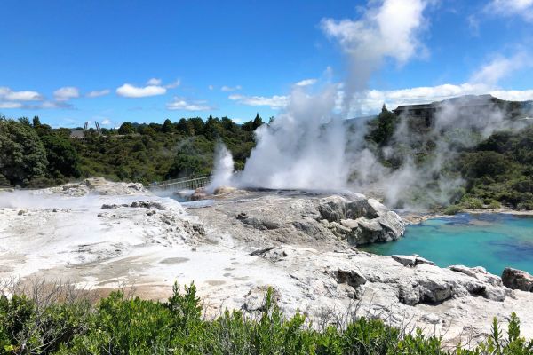 North Island Culture and Service